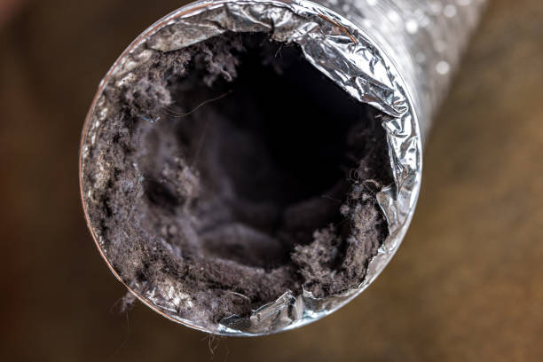 Best Residential Air Duct Cleaning  in Southwood Acres, CT